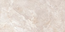 Керамическая плитка Persey TWU2550PRS40 бежевая 249х500 Alma Ceramica - uralkafel.ru - Уфа