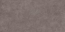 Керамическая плитка Discover TWU2550DCV40 249х500 коричневая Alma Ceramica - uralkafel.ru - Уфа