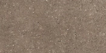 Керамогранит Аркаим (Arkaim) G214MR 600х1200 матовый коричневый "Гранитея" - uralkafel.ru - Уфа