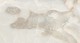 Керамогранит Miller Onyx GT120605902PR 600х1200 бежевый полированный Global Tile - uralkafel.ru - Уфа